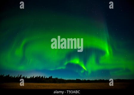 Northern lights (Aurora borealis) Birds Hill Provincal Park Manitoba Canada Stock Photo