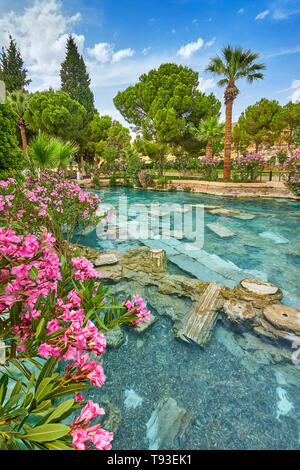 Cleopatra pool with blooming flowers, Pamukkale, Turkey Stock Photo