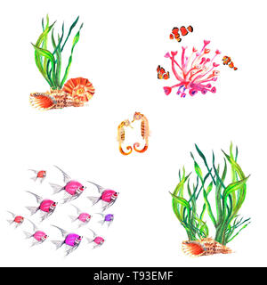 Watercolor hand painted compositions of water-plants, corals, Amphiprion percula, Hippocampus,  Ambassis, shells. Stock Photo