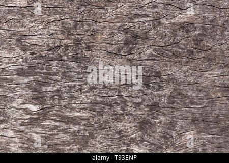 Background of old weathered grunge rusty wood panel for design. Seamless textures of old wood. Stock Photo