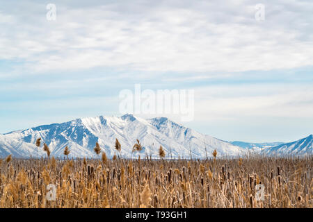 Vast grassy terrain against a rugged mountain covered with snow in winter Stock Photo