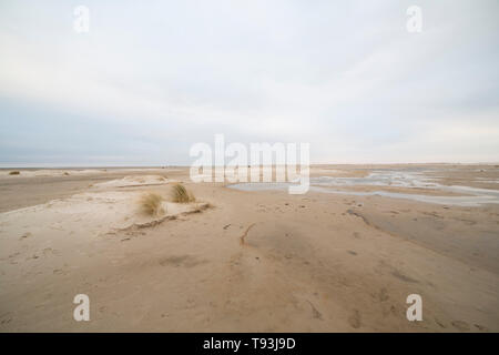 White sand dunes and dry grass on the shore with footprints on surface. Low angle landscape with bright cloudy sky at North Sea coast, Amrum, Germany, Stock Photo