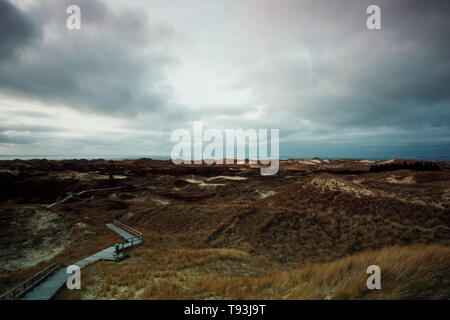 Wooden path with stairs or boardwalk leading through dunes landscape on Amrum, North Frisian Islands, Schleswig-Holstein, Germany on a cloudy day Stock Photo