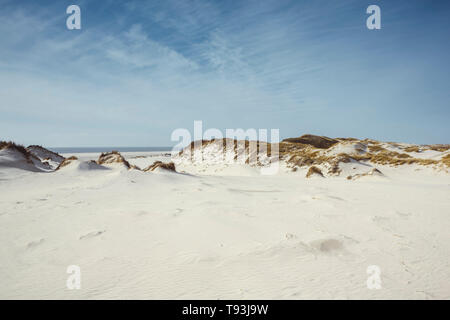Bright landscape of white sand dunes, dry grass on hillocks and sun in the sky at sea coast. Picturesque view from low angle, Amrum, Germany, Schleswi Stock Photo