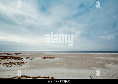 White sandy beach and dunes, illuminated by sunlight and covered in small patches of brown marram grass at a distance from baltic sea coast. North Fri Stock Photo