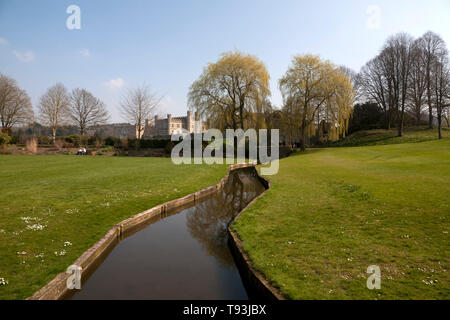 cedar lawn leeds castle maidstone kent england Stock Photo