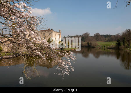 blossom and moat leeds castle maidstone kent england