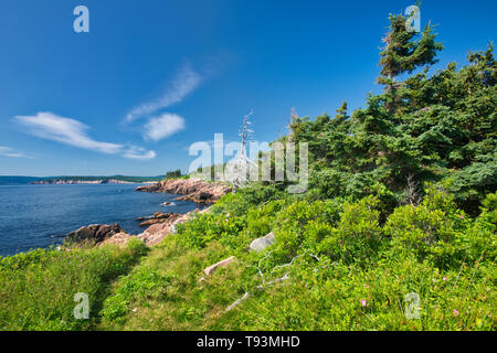 Rocky shoreline along the Cabot Strait (Atlantic Ocean) at Lakies Head. Cabot Trail. Cape Breton Island. Cape Breton Highlands National Park Nova Scotia Canada Stock Photo