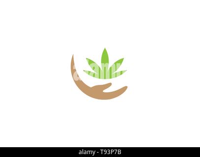 Hand and marijuana leaves with plant care for logo design Stock Vector