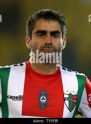 Chile Football League 1 Division  -  Campeonato Nacional AFP PlanVital 2019 /  ( Club Deportivo Palestino ) -  Diego Rosende Lagos Stock Photo