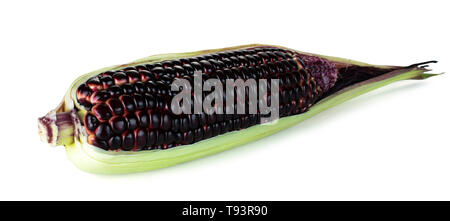 Siam Ruby Queen is super sweet corn with red color, can be eaten fresh, isolated on a white background with clipping path Stock Photo