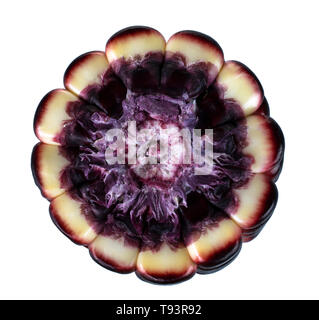 Siam Ruby Queen is super sweet corn with red color, can be eaten fresh, isolated on a white background with clipping path Stock Photo