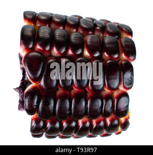 Siam Ruby Queen is super sweet corn with red color, can be eaten fresh, isolated on a white background with clipping path Stock Photo