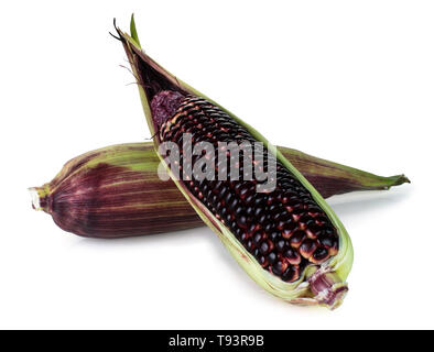 Siam Ruby Queen is super sweet corn with red color, can be eaten fresh, isolated on a white background with clipping path Stock Photo