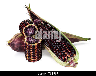 Siam Ruby Queen is super sweet corn with red color, can be eaten fresh, isolated on a white background with clipping path Stock Photo