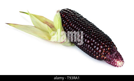 Siam Ruby Queen is super sweet corn with red color, can be eaten fresh, isolated on a white background with clipping path Stock Photo