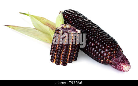 Siam Ruby Queen is super sweet corn with red color, can be eaten fresh, isolated on a white background with clipping path Stock Photo