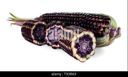 Siam Ruby Queen is super sweet corn with red color, can be eaten fresh, isolated on a white background with clipping path Stock Photo