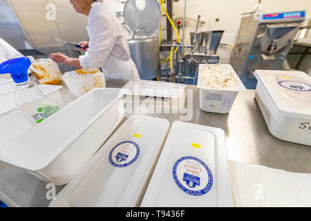 Ice cream making at at Brooke's Wye Valley Dairy Company in the Wye Valley, Wales. Jersey milk is used for cheese and ice cream. Stock Photo