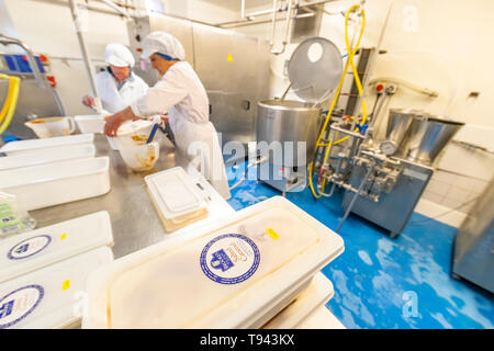 Ice cream making at at Brooke's Wye Valley Dairy Company in the Wye Valley, Wales. Jersey milk is used for cheese and ice cream. Stock Photo