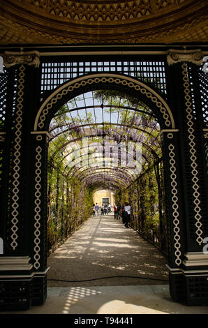 Imperial gardens of schonbrunn palace in Vienna. Tourist famous destination Stock Photo