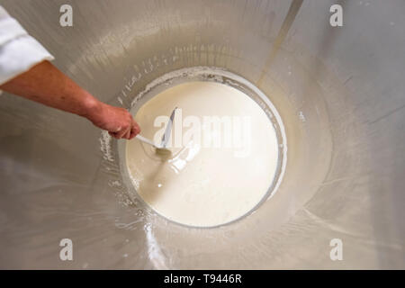 Ice cream making at at Brooke's Wye Valley Dairy Company in the Wye Valley, Wales. Jersey milk is used for cheese and ice cream. Stock Photo