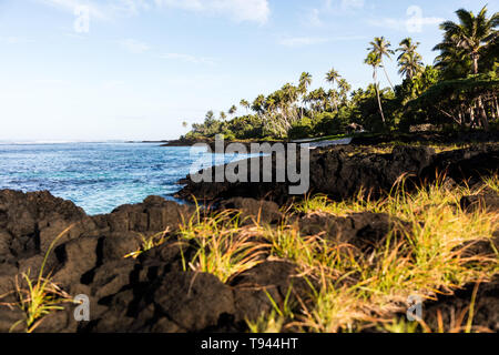 Black volcanic rocks on beach in Polynesia with coconut palm trees, perfect white sand, in foreground, ocean with turquoise water and deep blue sky wi Stock Photo