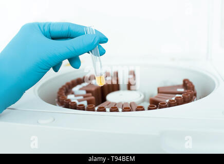 Laboratory assistant holding medical samples with blood plasma in test tube. Stock Photo