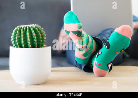 A man in crazy multi-coloured socks with feet and a cactus on table. Man working on a laptop computer at home Stock Photo