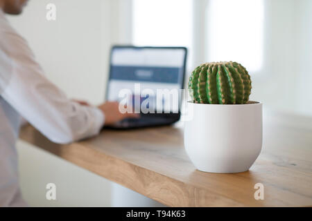 Laptop, cactus, decorazioni e portatile su una scrivania in legno e una  parete metallica organizzatore al di sopra di esso Foto stock - Alamy