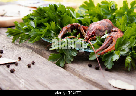 red boiled crayfish with herbs on a plate on a wooden board and spices scattered on the table Stock Photo