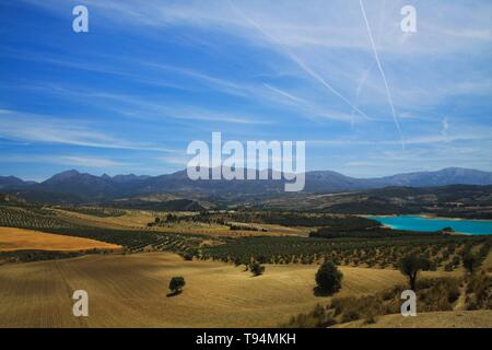 View on rural valley with olive groves, crop fields and isolated blue artificial lake Bermejales with mountain range in horizon - Andalusia, Spain Stock Photo