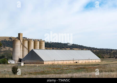 Traditional vertical silos and a more modern horizontal grain storage bunker at the town of Willow Tree in north western New South Wales, Australia Stock Photo