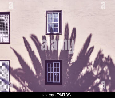 Shadow of a palm tree on a building wall, color toning applied. Stock Photo