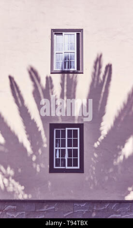 Shadow of a palm tree on a building wall, color toning applied. Stock Photo