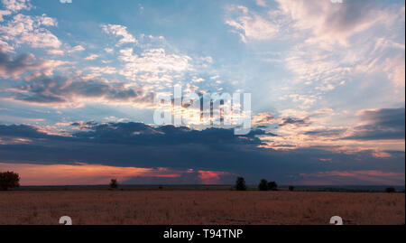 A very large storm cloud in the sunlight closed the turning sun over the yellow field in the late afternoon Stock Photo