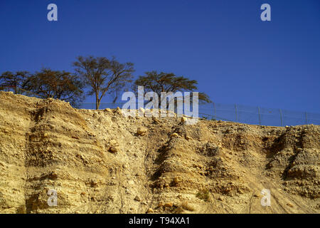Israel, Dead Sea, Ein Gedi national park the eroded marl stone cliff overlooking the stream Stock Photo
