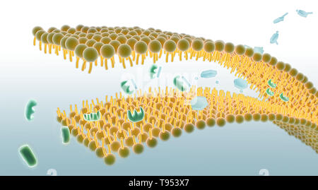 An illustration showing the mechanism of Aspirin and its role in pain relief. Aspirin, also known as acetylsalicylic acid, works in a number of different ways in the body to relieve pain and reduce fever and inflammation. It prevents the production of pain messengers called prostaglandins in the body by inhibiting COX1 and COX2, which are needed to produce prostaglandins. Stock Photo