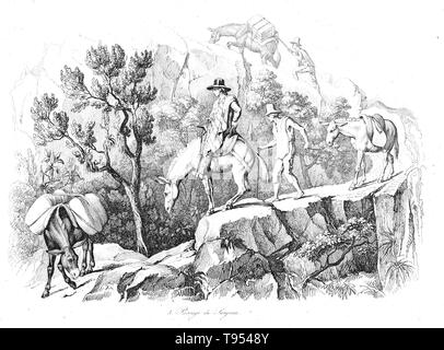 The explorer and naturalist Alexander von Humboldt travelling on mules in the Andes. Humboldt (1769-1859) was a Prussian geographer, naturalist and explorer. His quantitative work on botanical geography laid the foundation for the field of biogeography. Between 1799 and 1804, Humboldt travelled extensively in Latin America, exploring and describing it for the first time in a manner generally considered to be a modern scientific point of view. Stock Photo