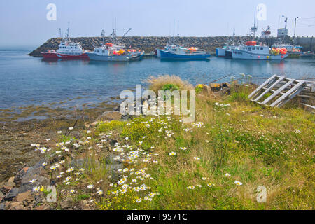 Fishing boats in coastal fishing village of Westport Brier Island on DIgby Neck Nova Scotia Canada Stock Photo