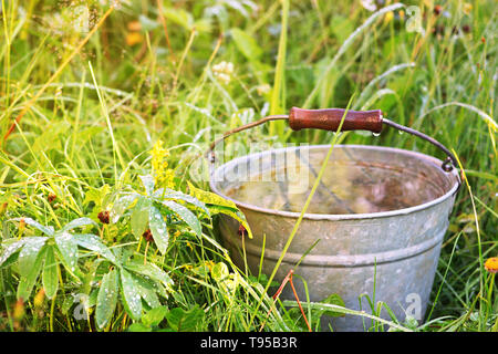 Old metallic busket with rain water in the high wet grass Stock Photo