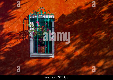 A brightly painted house with a flower in the window is seen on the street near the workshop of Laura Peña, a cigar maker, in Suchitoto, El Salvador. Stock Photo