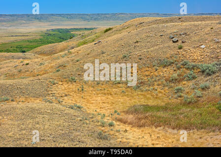 Rolling hills and coulees of mixed-grass native prairie Grasslands National Park Saskatchewan Canada Stock Photo