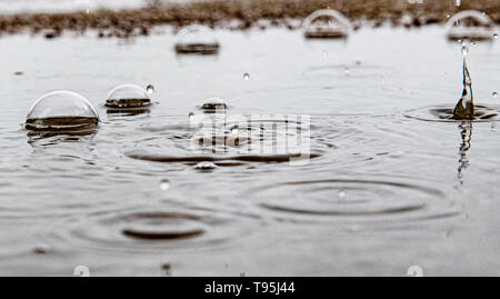 Berlin, Germany. 16th May, 2019. Raindrops fall into a puddle and create artistic shapes through the impact. Credit: Paul Zinken/dpa/Alamy Live News Stock Photo