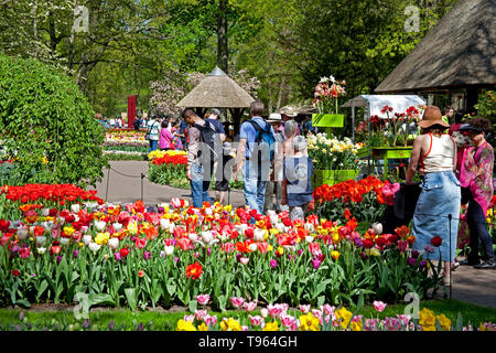 Keukenhof Gardens, Holland, visitors walking on paths among beautiful colourful flowers and blooms in spring. Europe Stock Photo