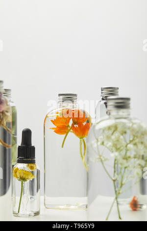 selective focus of natural beauty products in bottles with herbs and wildflowers isolated on grey Stock Photo