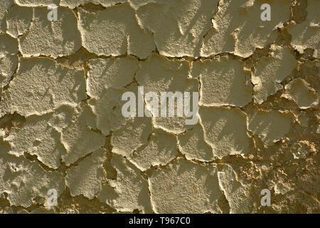 pebbledash wall of an old house peel off, dirty and old cracked damaged plaster wall background lit by the midday sun Stock Photo