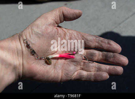 Fisherman with fishing rod rigged with a flasher and spoon fishing for  Kokanee salmon on Lake Chelan,Washington State, USA Stock Photo - Alamy