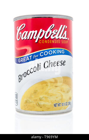 Winneconne, WI - 10 May 2019 : A can of Campbells broccoli cheese soup on an isolated background Stock Photo