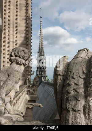Spire and gargoyles on Notre Dame cathedral, Paris, France Stock Photo